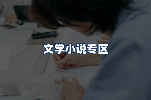 文学小说PDF展示